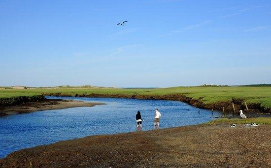 Sandy Neck Beach