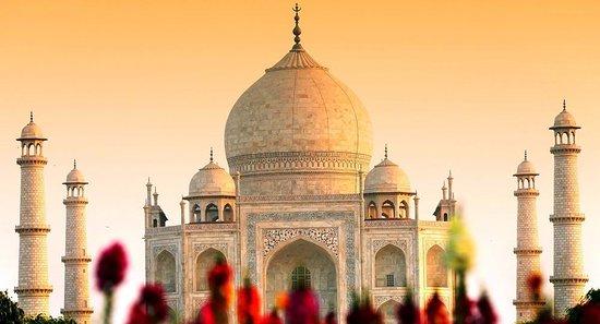 Uniquee Rajasthan