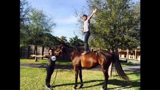 Star Stables Miami