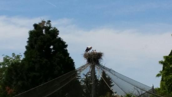 Zoo Heidelberg