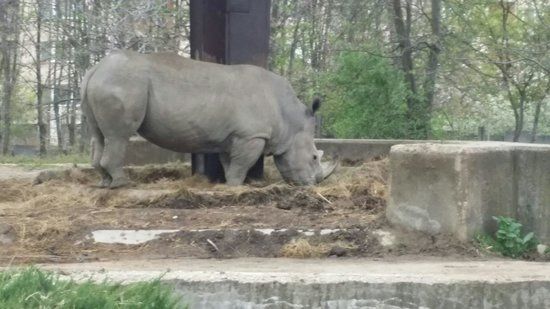 Sofia Zoo