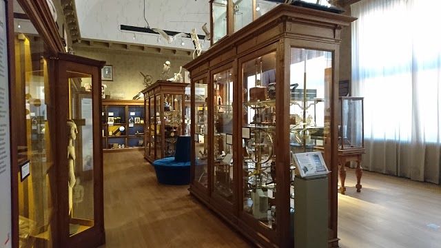 University Museum