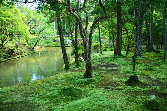 西芳寺
