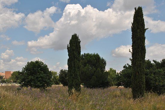 Parc archéologique de Centocelle
