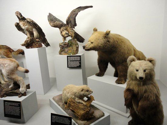 Museum of natural history