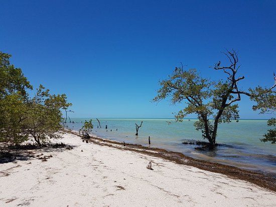 Punta Mosquito