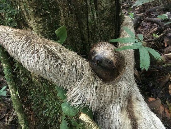 Arenal Sanctuary Reserve