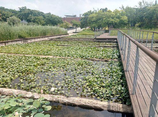Taman Seonyudo