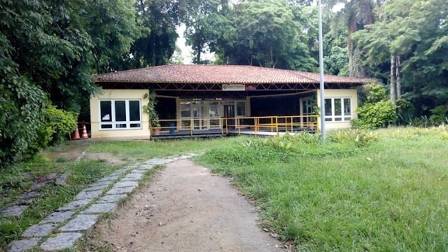 Bosque da Freguesia