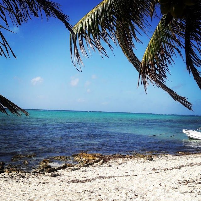 Tankah Divers Tulum
