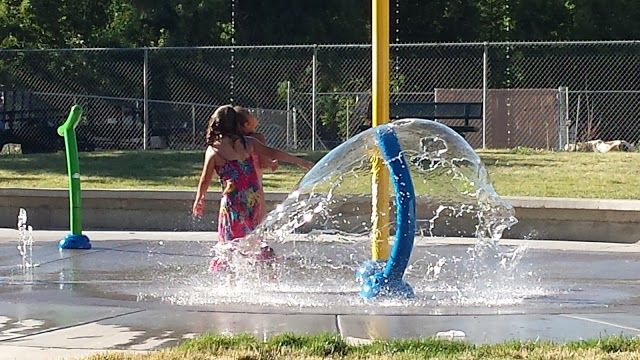 Wiard Park