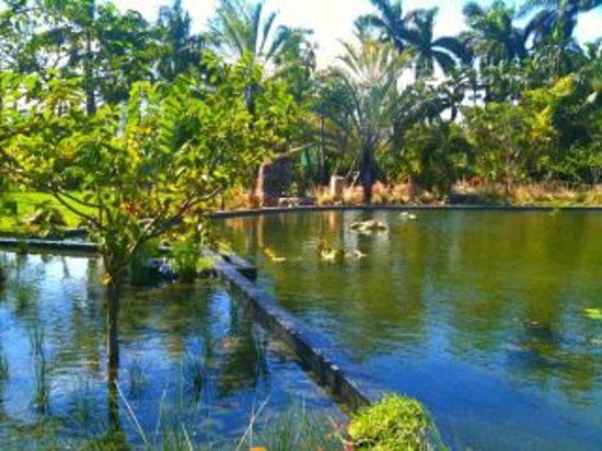 Miami Beach Botanical Garden