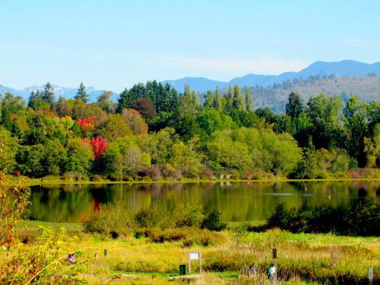 Deer Lake Park