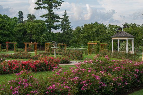 Allentown Rose Gardens