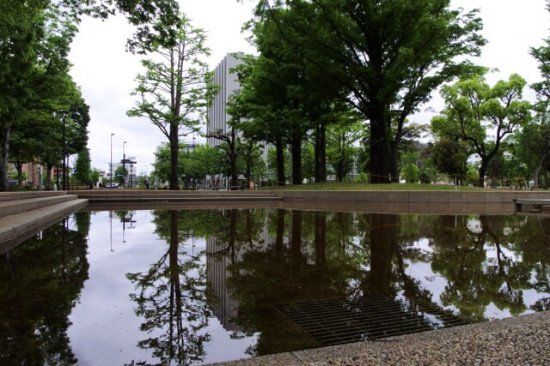 中野四季の森公園