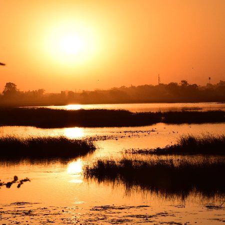 Sirpur Lake
