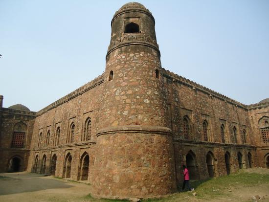 Khirki Camisi