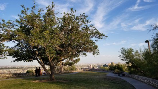 Tom Lea Upper Park