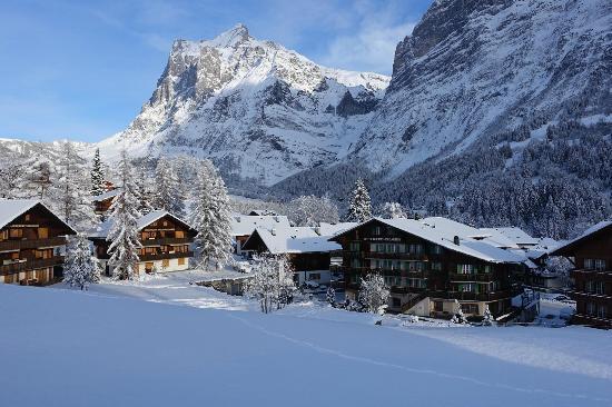 The Wetterhorn