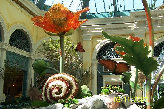 Bellagio Kapalı Bahçesi ve Botanik Bahçeleri