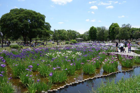 Parque Mizumoto