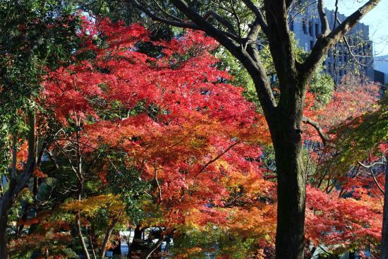 Hibiya Parkı