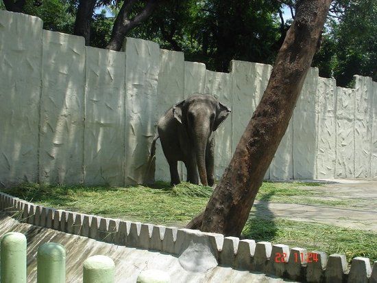 Taman Zoo dan Botani Manila