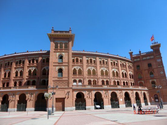 Museo Taurino