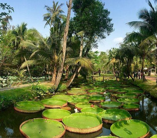 Binh Quoi Village