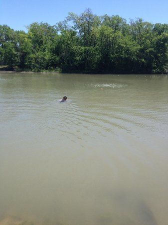 NorthBark Dog Park