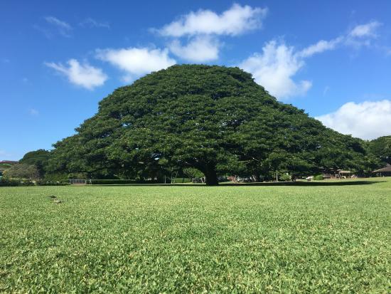 Moanalua Gardens