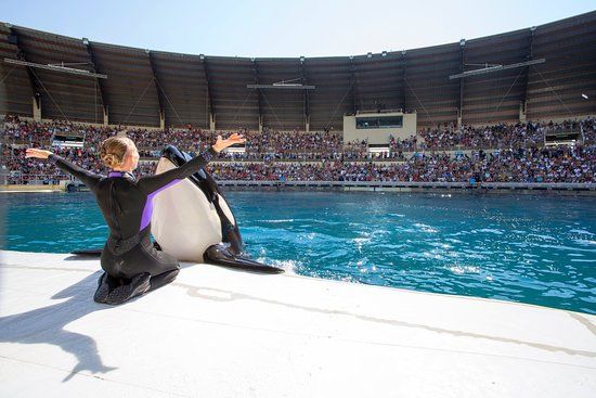 Marineland