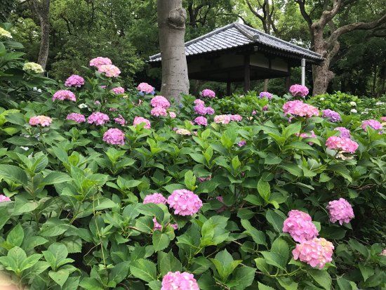 藤森神社