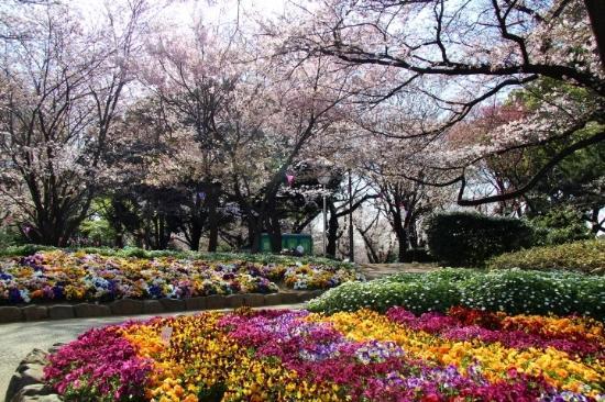 Parc d'Asukayama