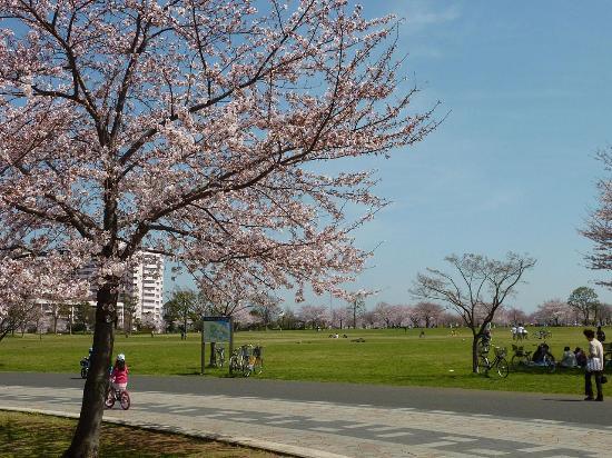 Ojima Komatsugawa Parkı