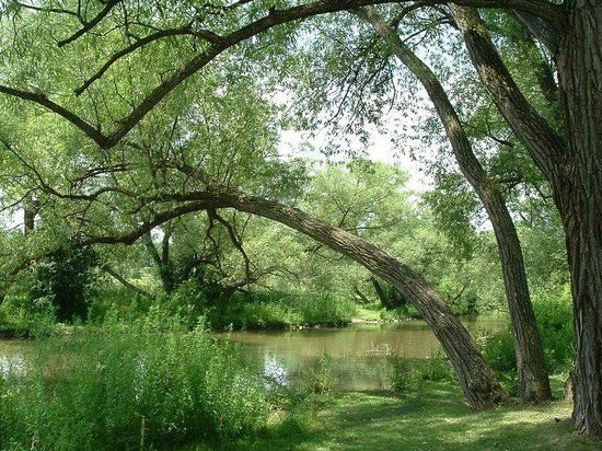 Fairy Lake Park
