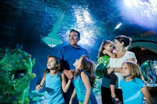Sea Life Akvaryumu