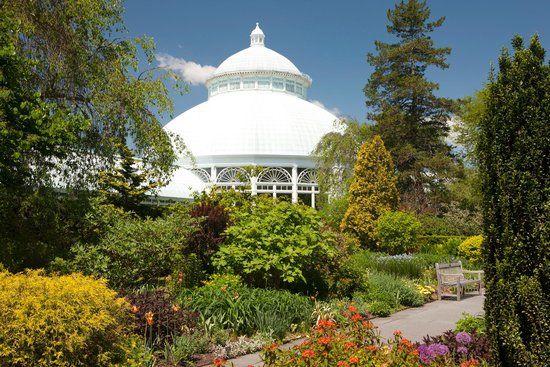 Botanische tuinen van New York