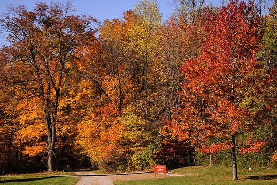 Hayes Arboretum