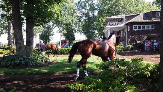 Delaware Park