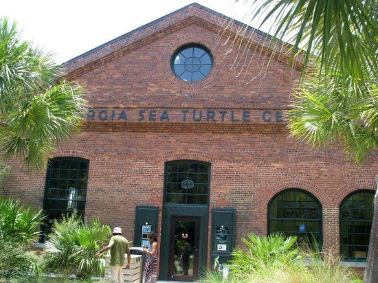 Georgia Sea Turtle Center