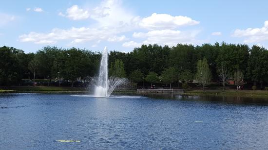 Lake Lily Park