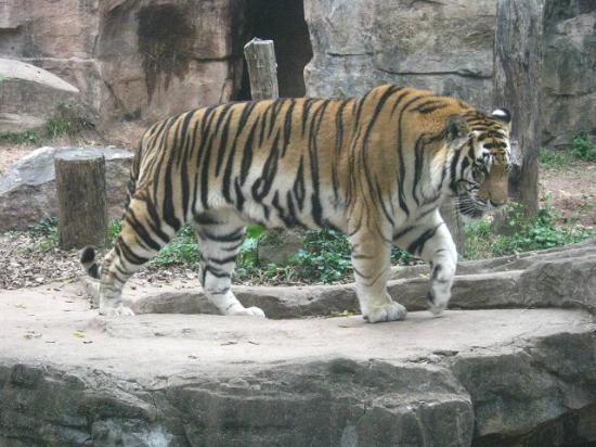 Guangzhou Zoo