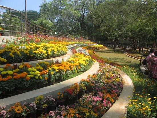 Pondicherry Botanical Gardens