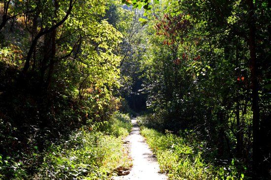Crinoline Falls