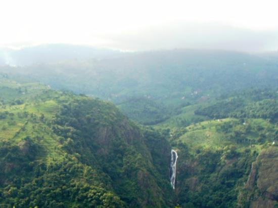 Dolphin's Nose