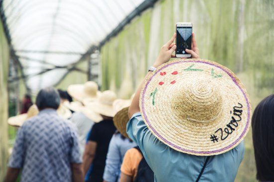 Zenxin Organic Park