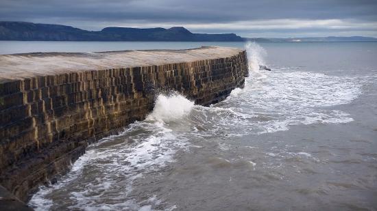 The Cobb