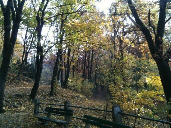 Mountain Park