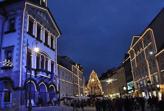 Ljubljana Belediye Sarayı